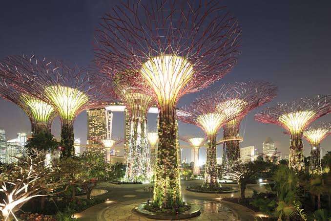 Singapore Gardens by the Bay Supertrees